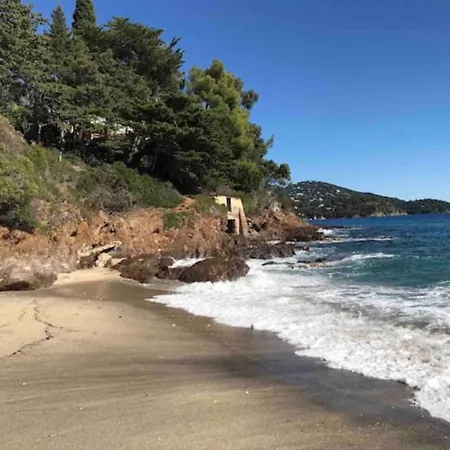 Les Alizes 아파트 *