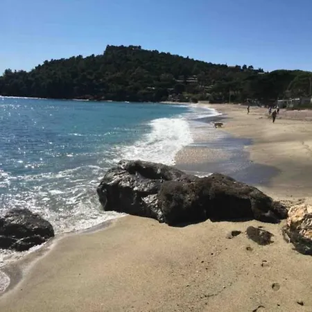 Les Alizes 아파트 *