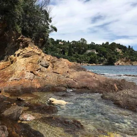 Les Alizes 아파트 *