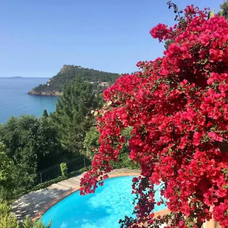 아파트 Les Alizes *