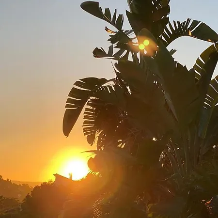 Les Alizes * Le Rayol-Canadel-sur-Mer