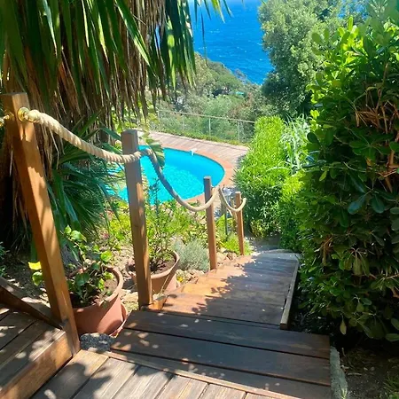 Les Alizes 아파트 *